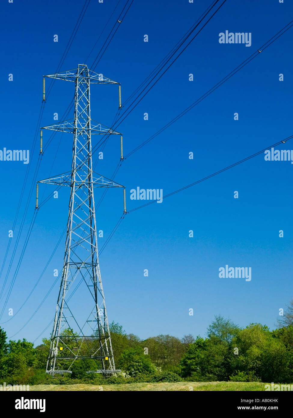 Big high tension electricity pole at Horseshoe Lake Trilakes Country