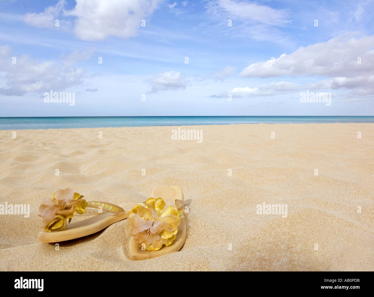 Flip flops or thongs on sandy beach Stock Photo - Alamy