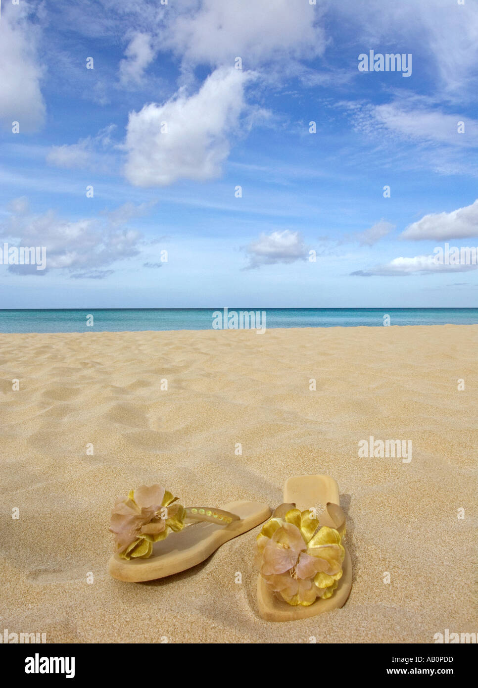 Flip flops or thongs on sandy beach Stock Photo - Alamy