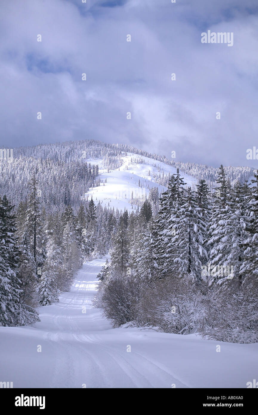 Plumas national forest hires stock photography and images Alamy