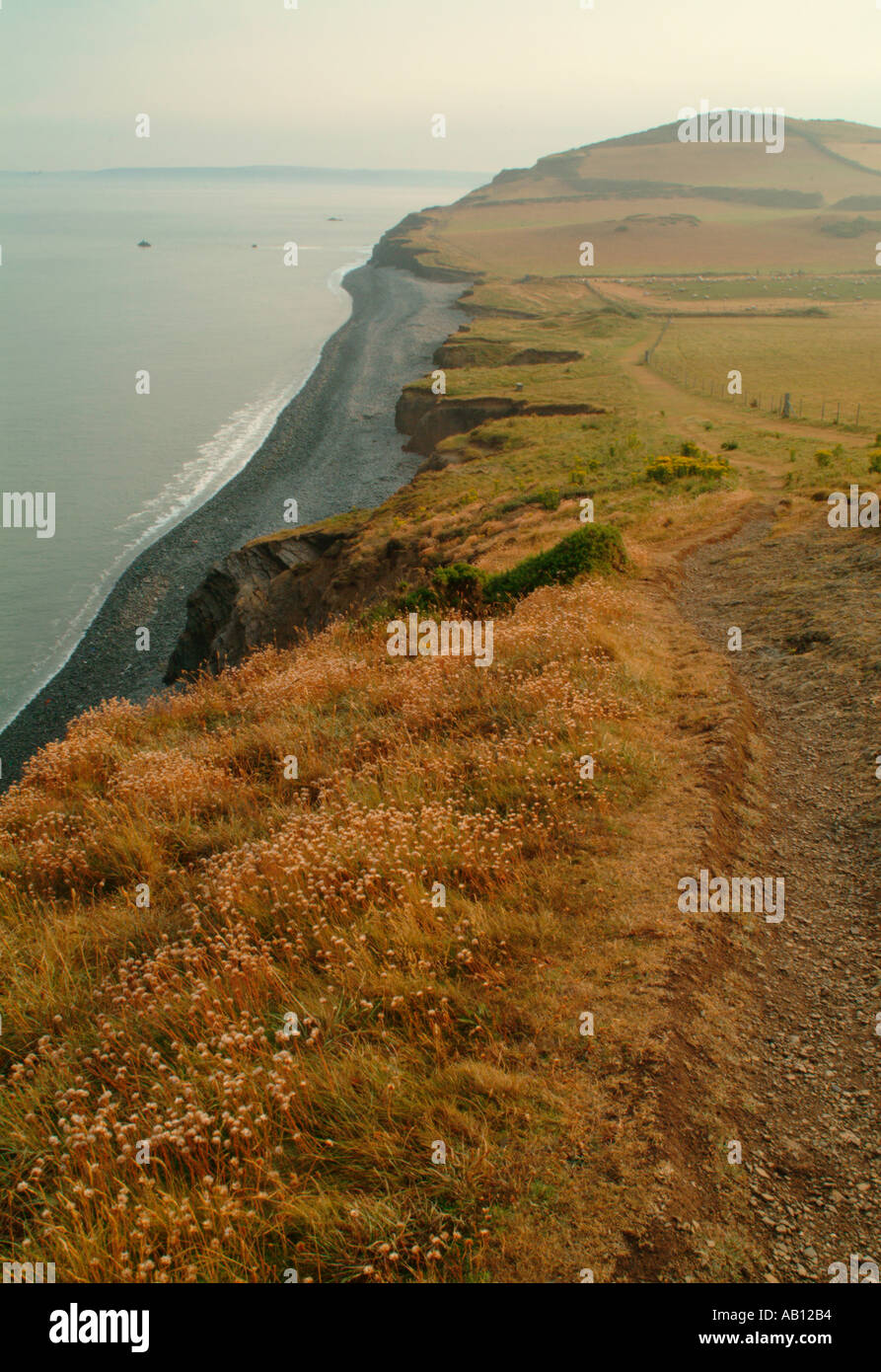Pebble beach bay Abbotsham North Devon UK Stock Photo - Alamy