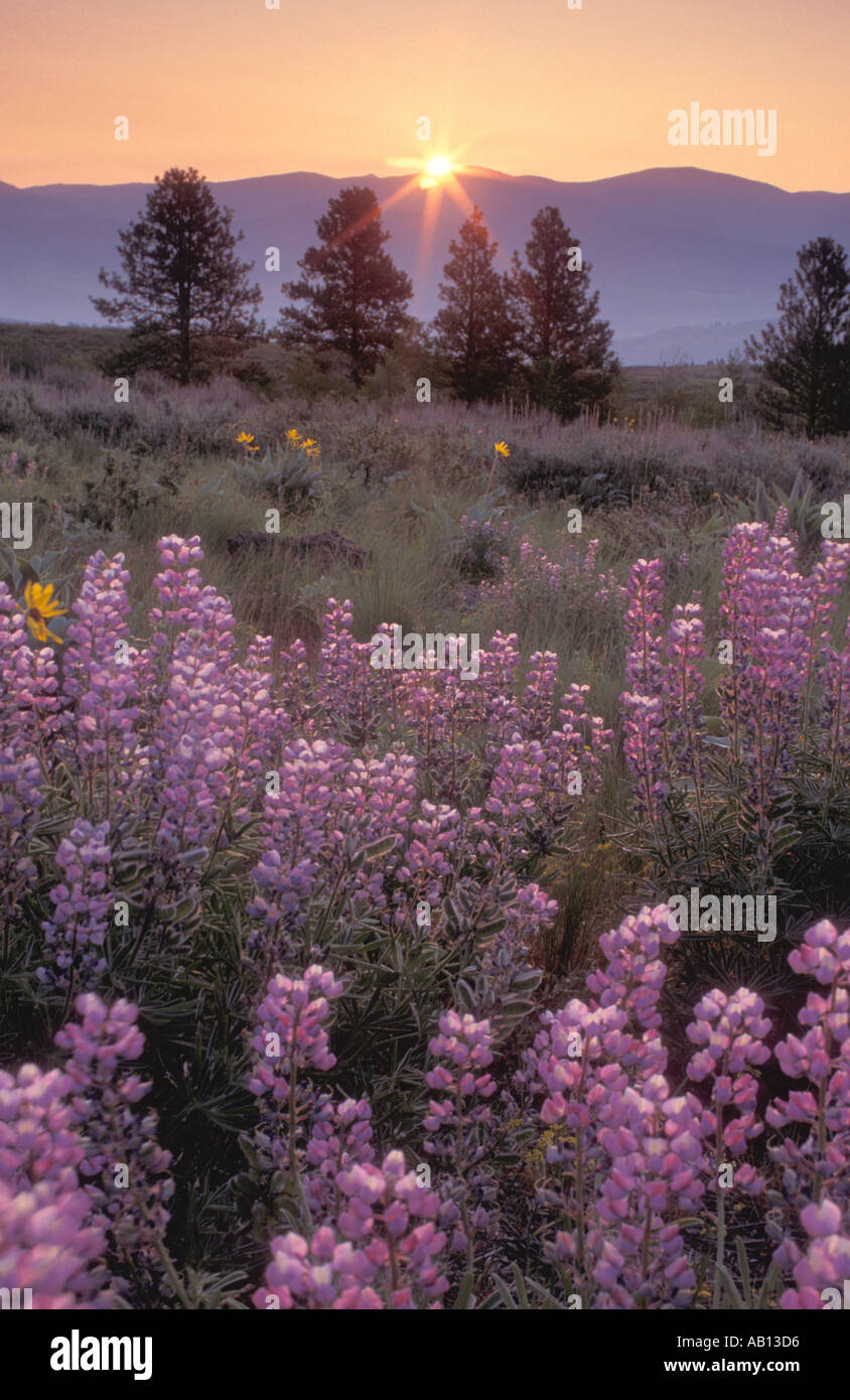 methow-river-valley-high-resolution-stock-photography-and-images-alamy