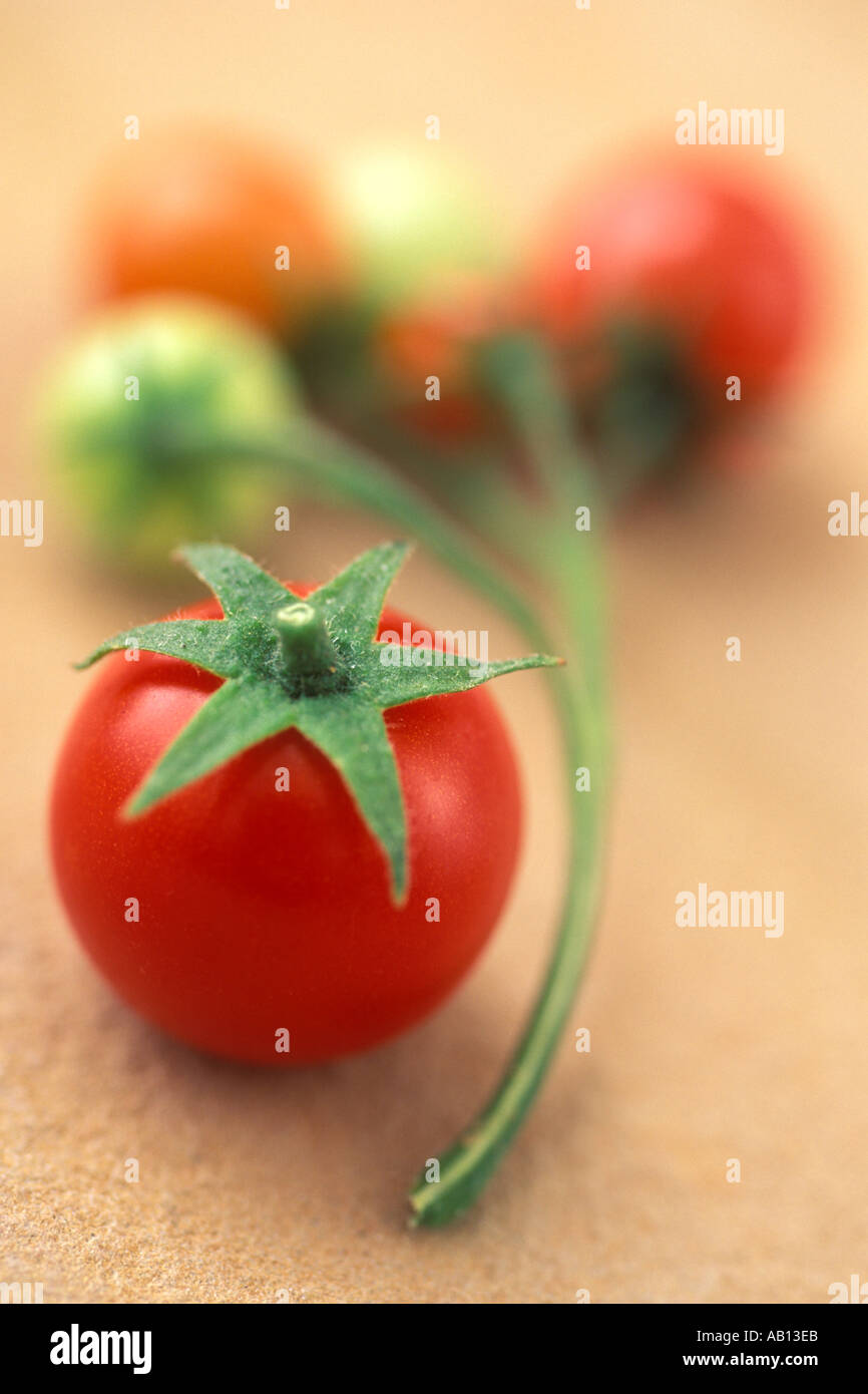 Tomatoes Stock Photo