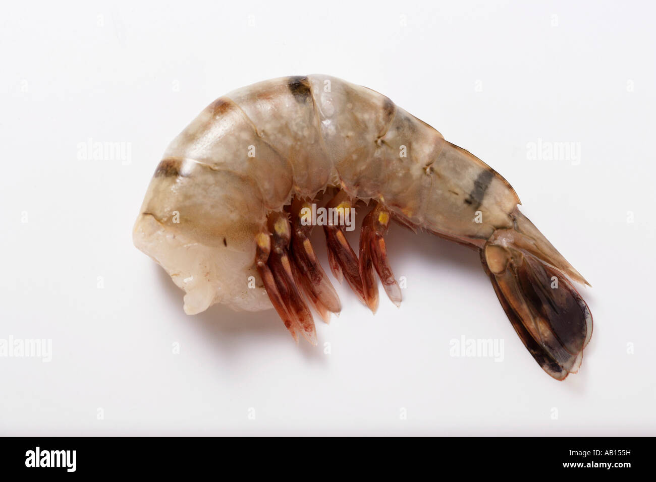 Fresh king prawn without head FoodCollection Stock Photo Alamy