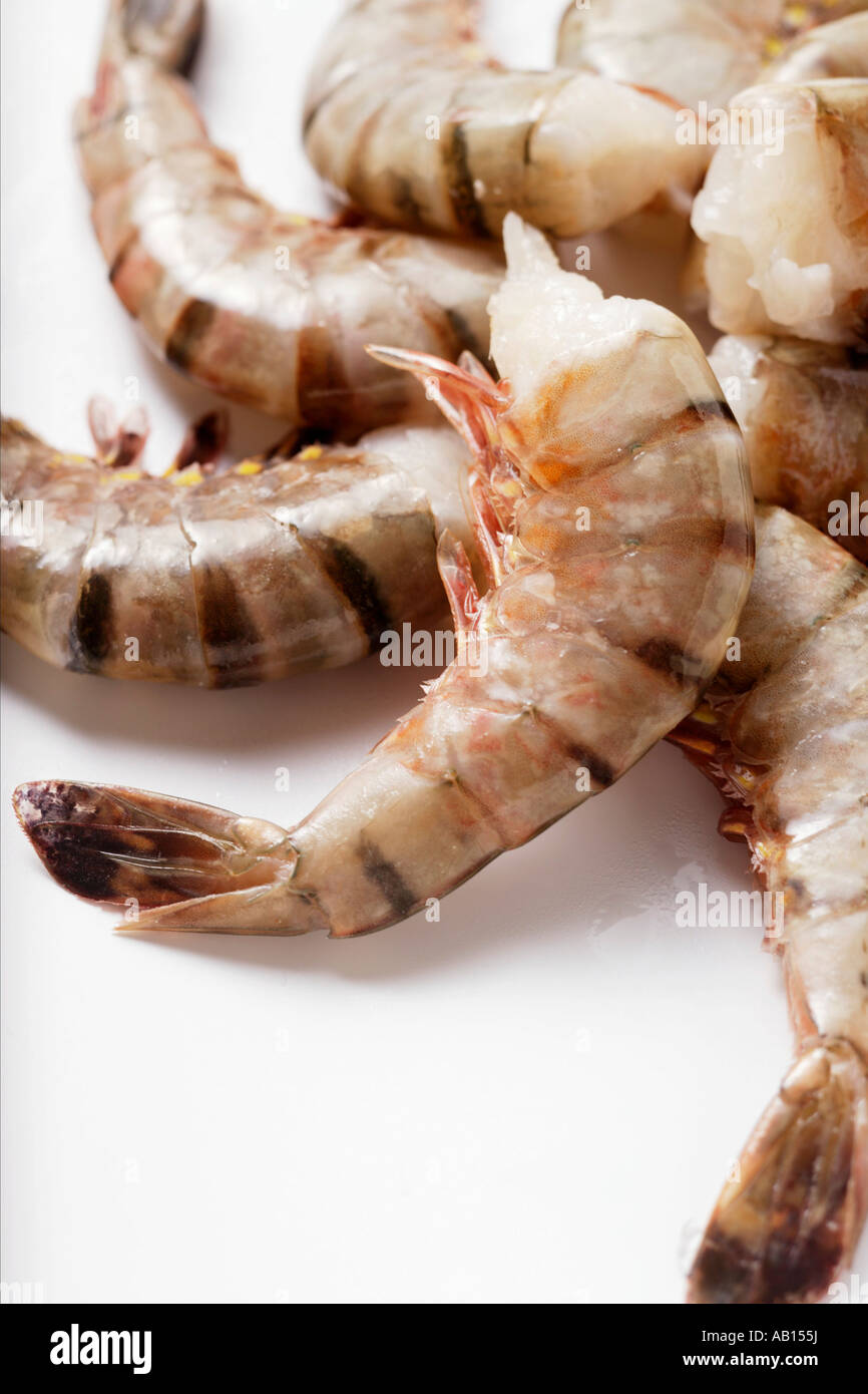 Jumbo King Prawns Hi Res Stock Photography And Images Page 5 Alamy