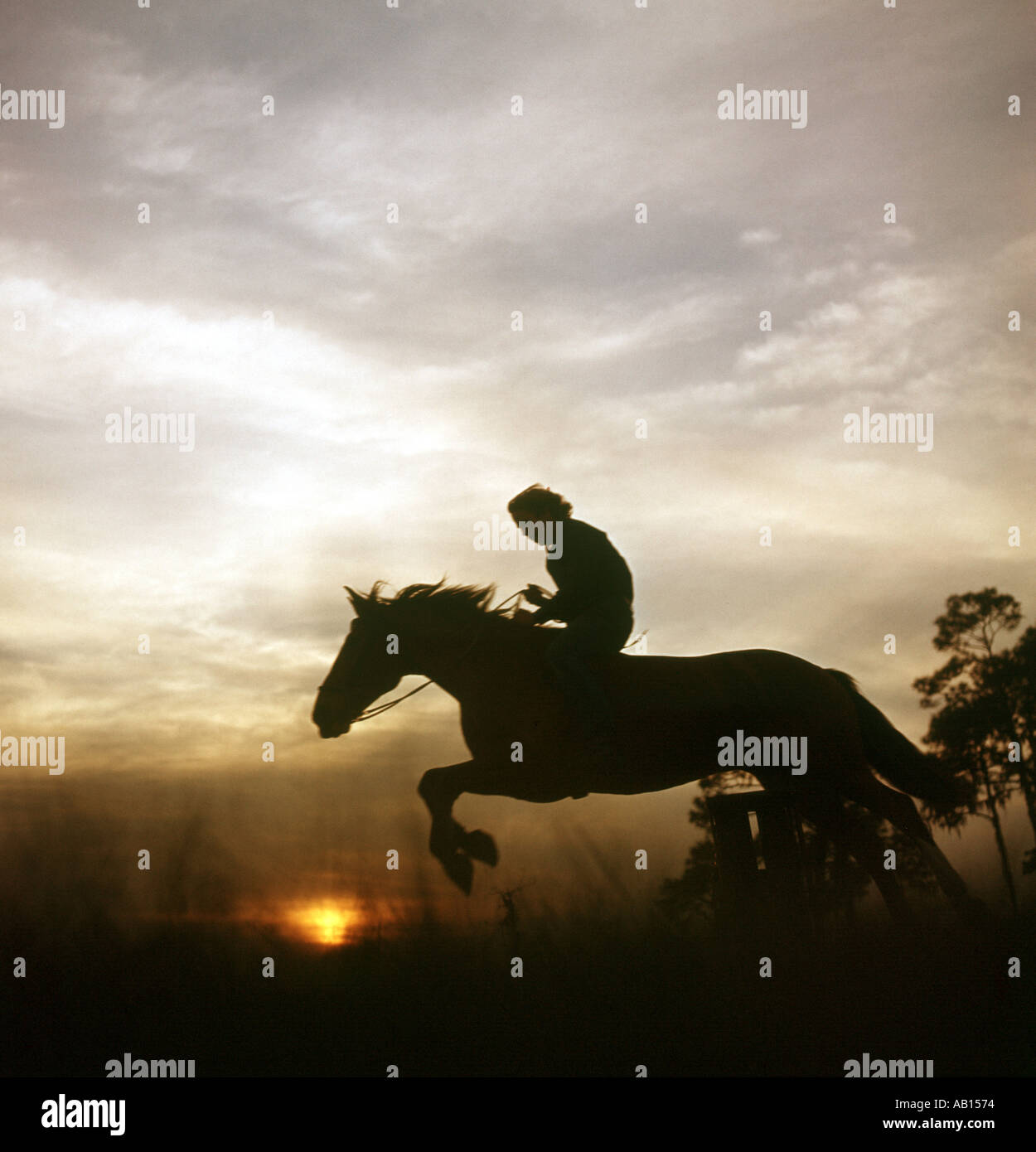 horse and rider leaping fence on ranch at sunset Stock Photo