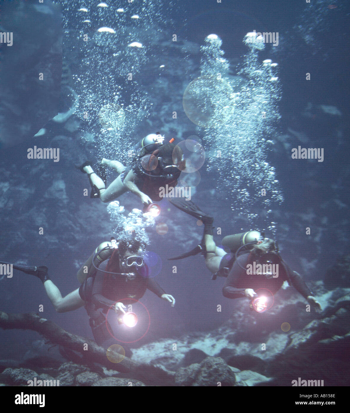 three skin divers exploring spring in Florida USA Stock Photo