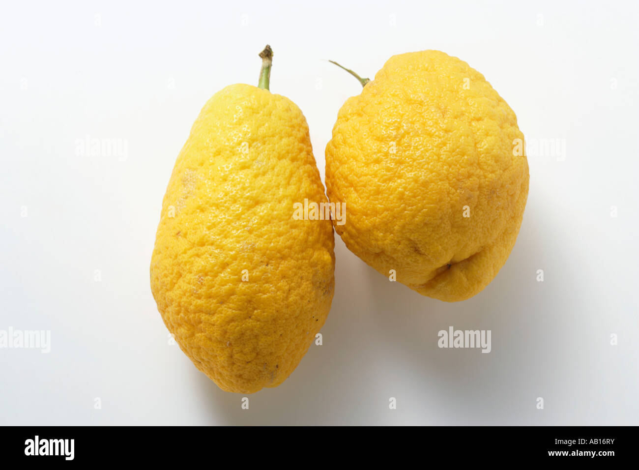 Two citrons FoodCollection Stock Photo
