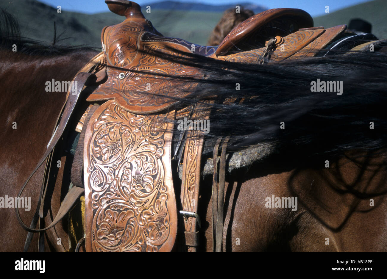 Western cowboy saddle, Montana Stock Photo - Alamy
