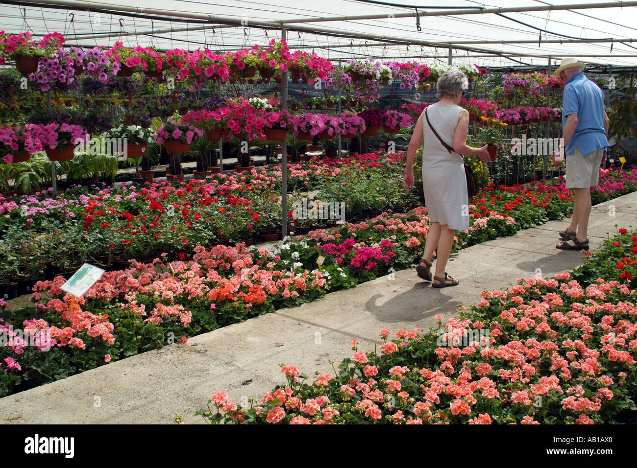 Garden centre flowers and plants on sale to the public customers selecting plants Stock Photo