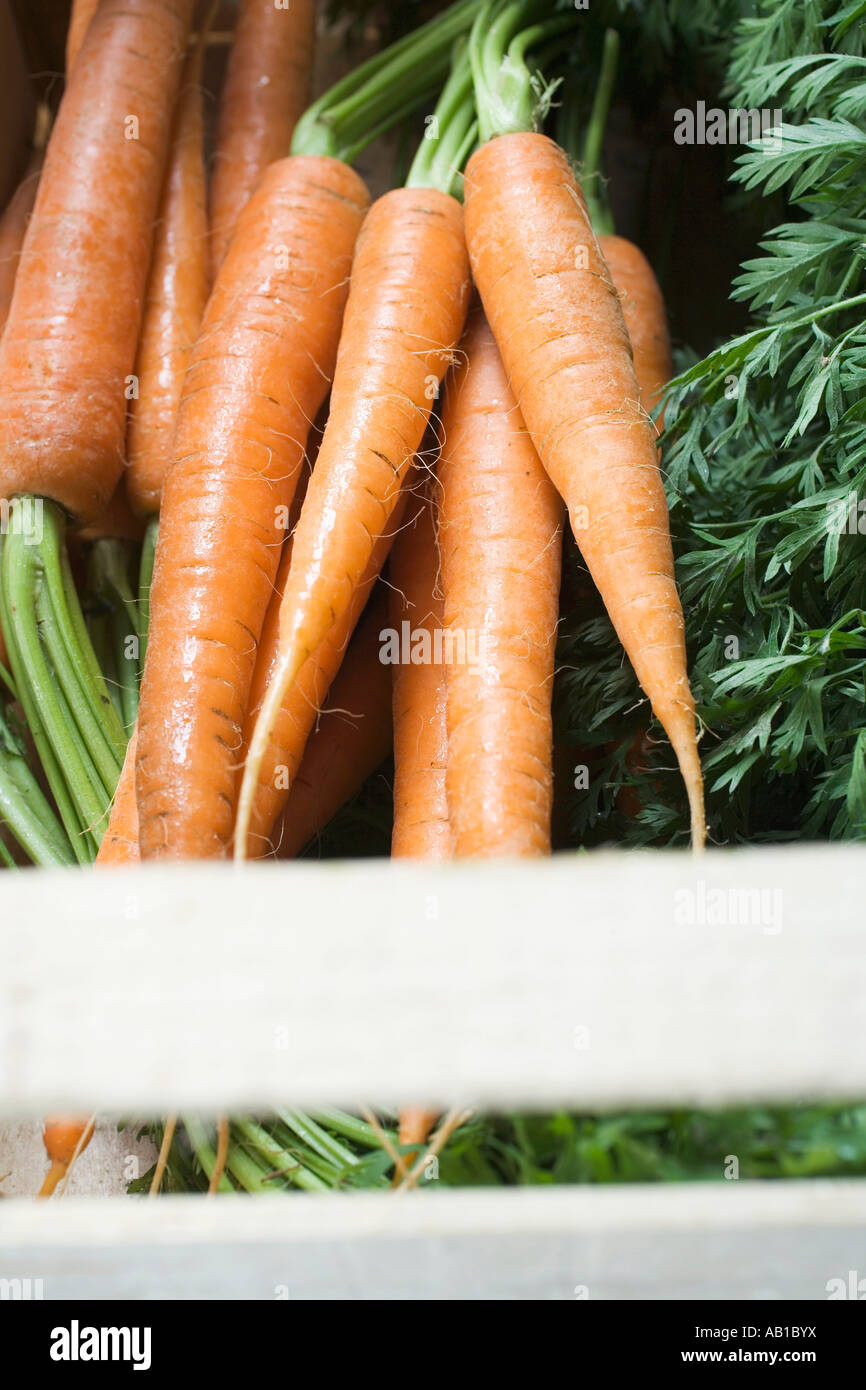 Fresh carrots in crate FoodCollection Stock Photo - Alamy