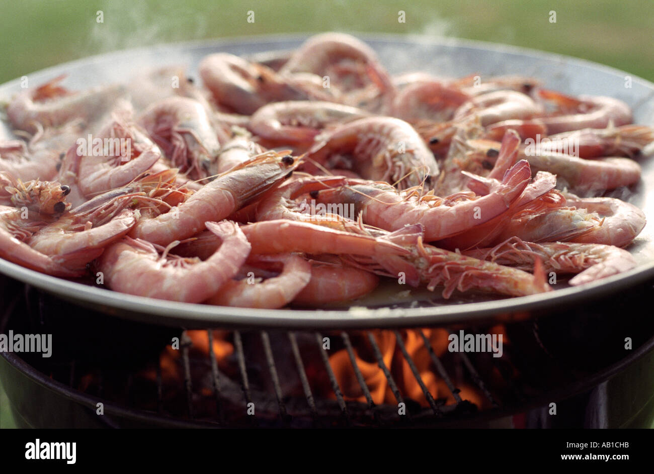 South Australian king prawns cooking in wok pan on open charcoal and