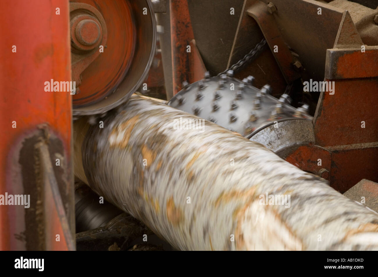 A LOG SPINS AS IT MOVES THROUGH THE DEBARKER Stock Photo
