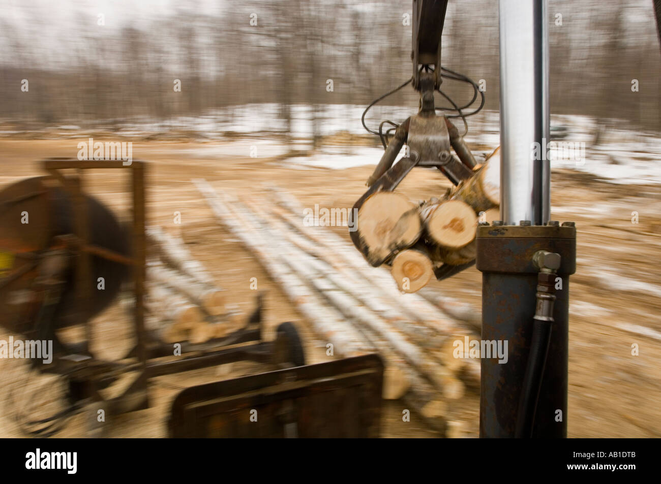 View from the loader cab slashing logs to length Stock Photo