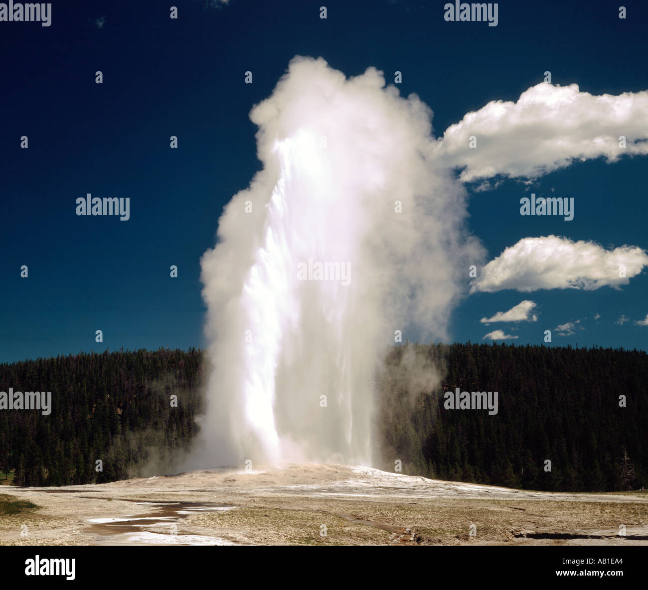 old-faithful-erupting-against-hi-res-stock-photography-and-images-alamy