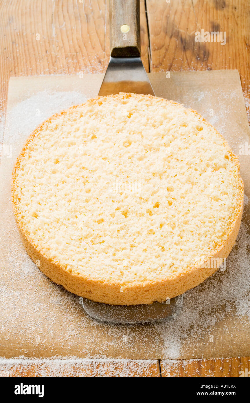 Sponge cake base FoodCollection Stock Photo Alamy