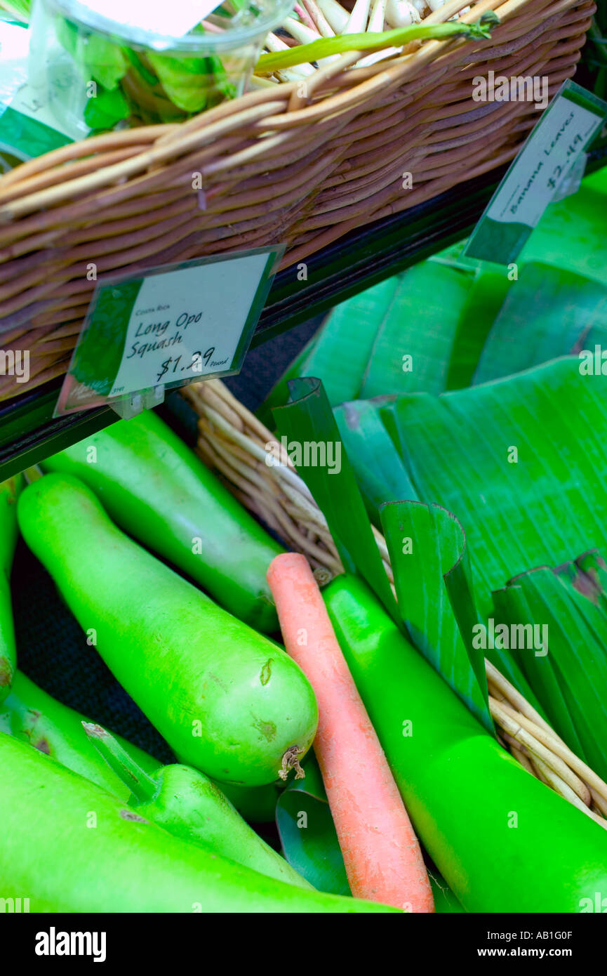 calabash Italian edible gourd long fruited gourd long melon long squash peh poh woo lo kua hu lu