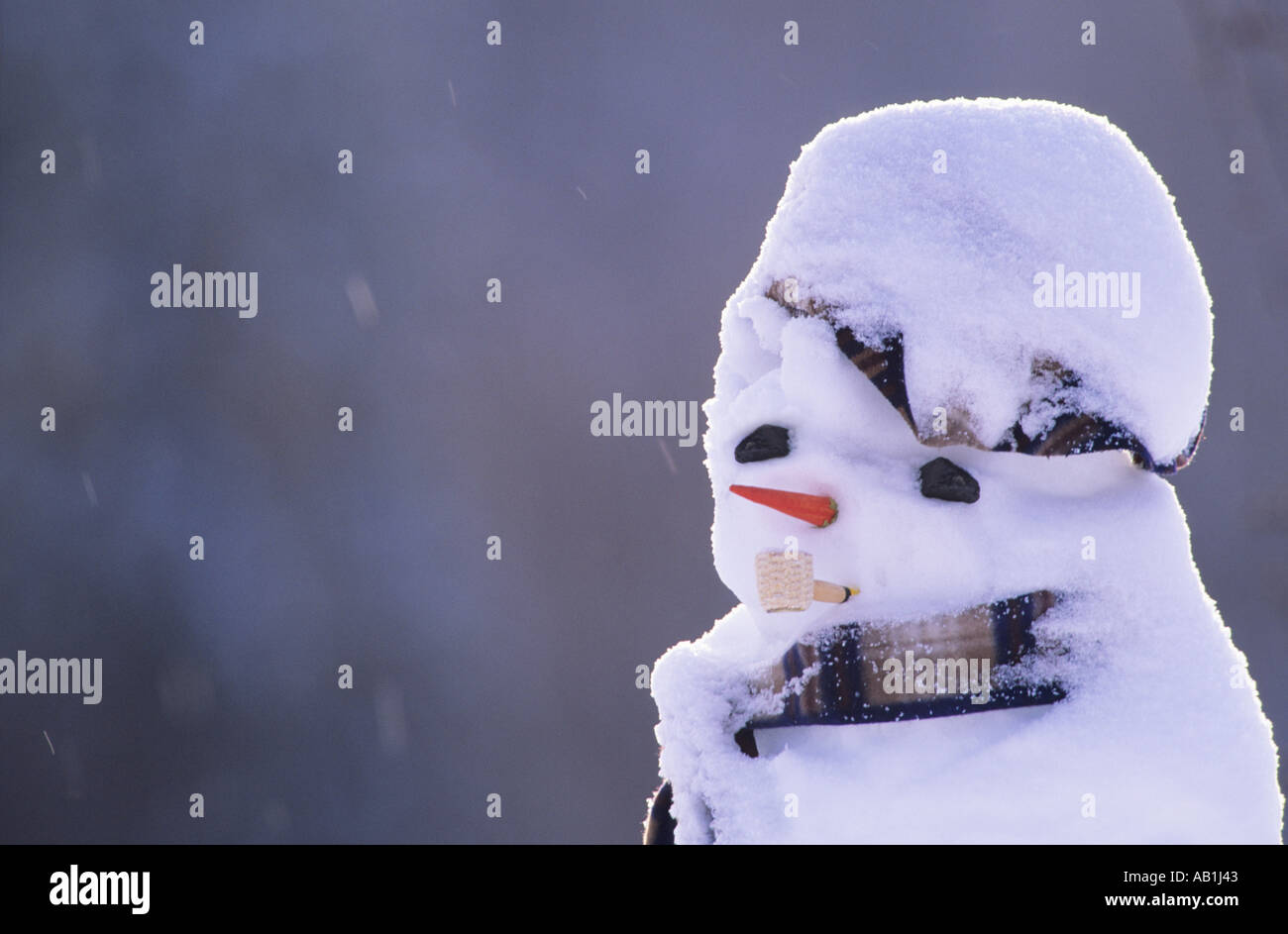 Snowman in winter Smithers British Columbia Stock Photo