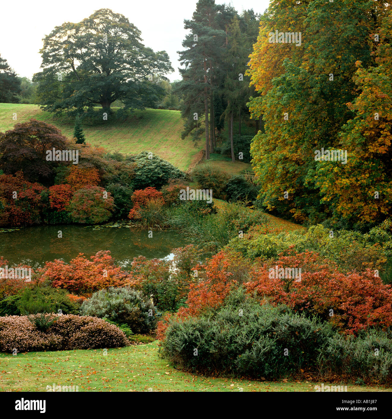 Cheshire gardens Ashton Hayes House garden in autumn Stock Photo Alamy