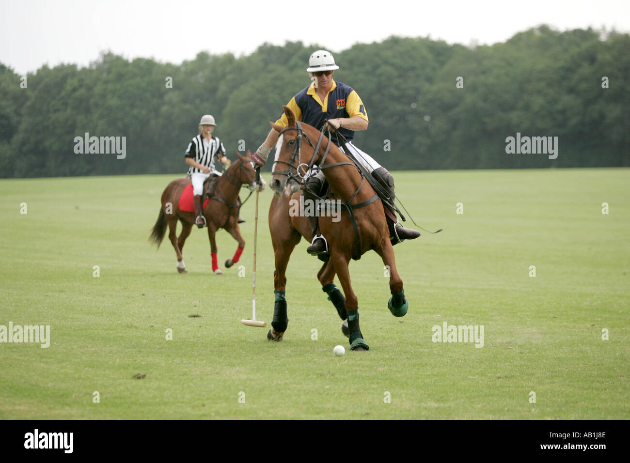 Polo match England sports in motion horseback rider horseback riding