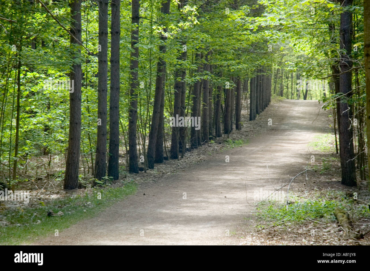 Quiet walkway hi-res stock photography and images - Alamy