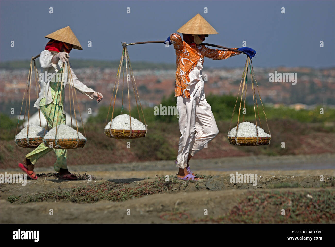 Women in conical hats carry salt in wicker pannier baskets along dykes between salt ponds Vietnam Stock Photo