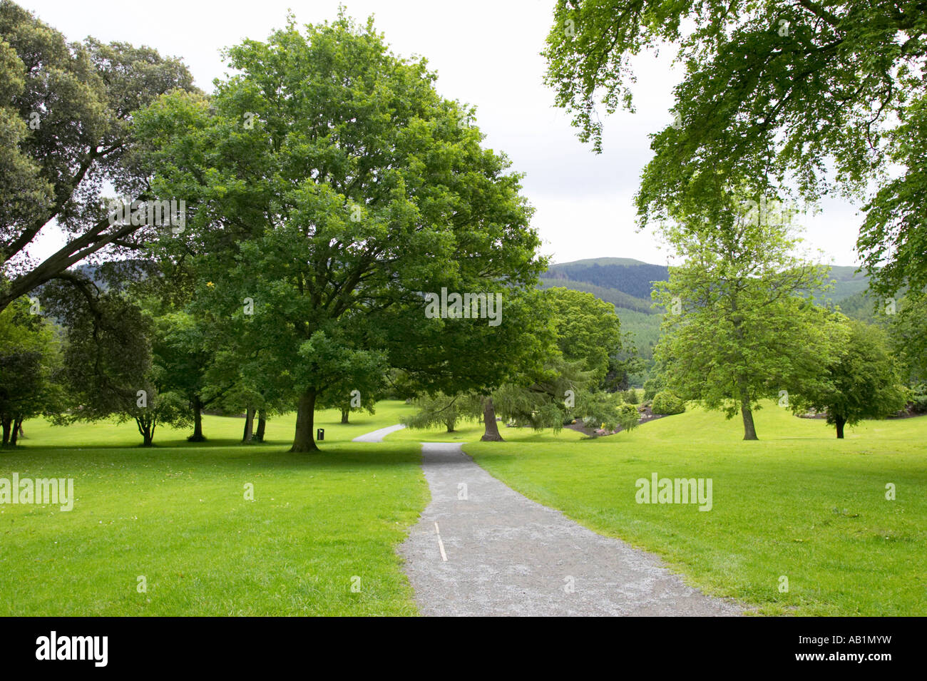 kilbroney park rostrevor county down Stock Photo Alamy