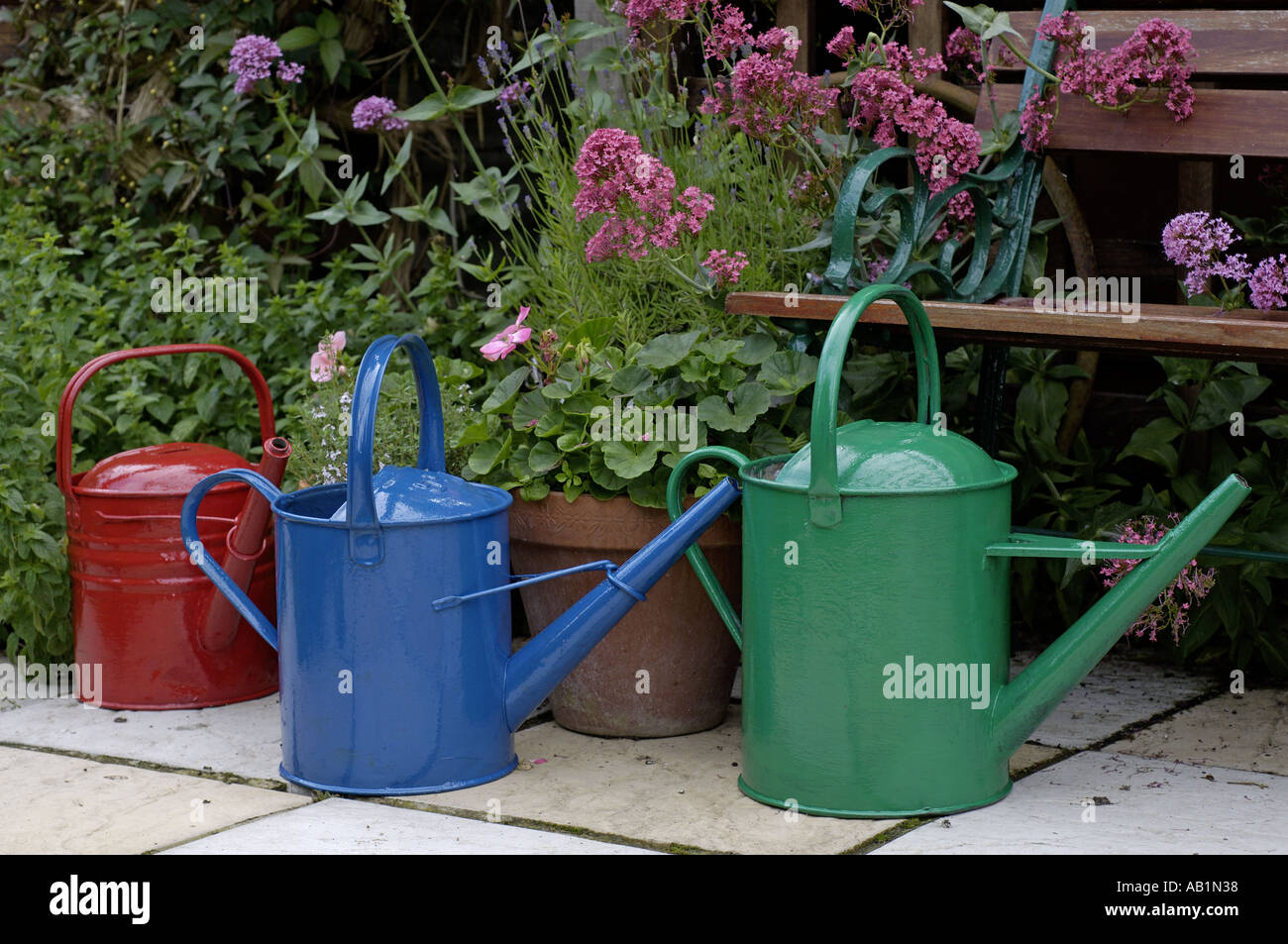 Colourful brightly painted red green blue watering cans Stock Photo