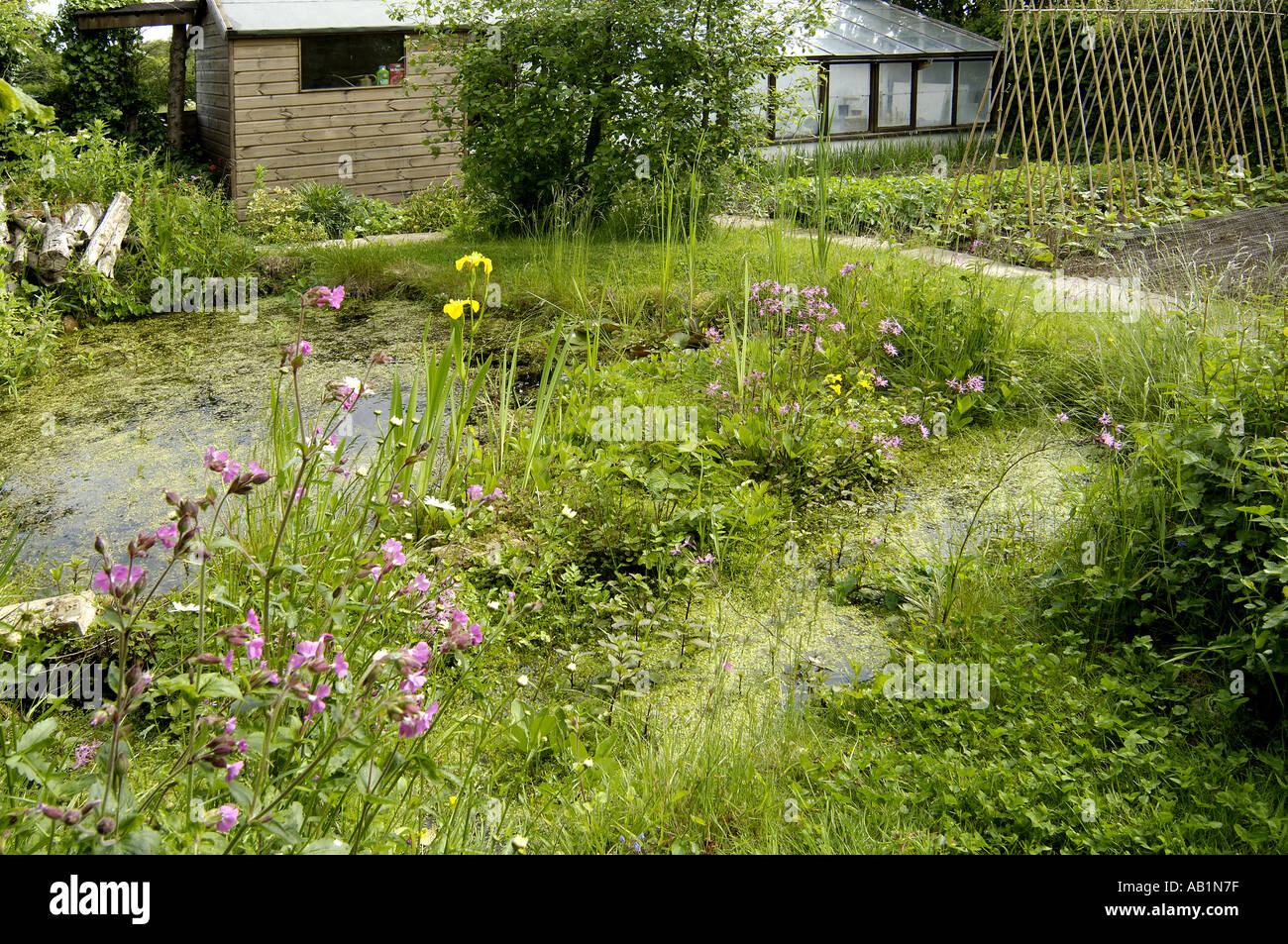 Wildlife garden hi-res stock photography and images - Alamy