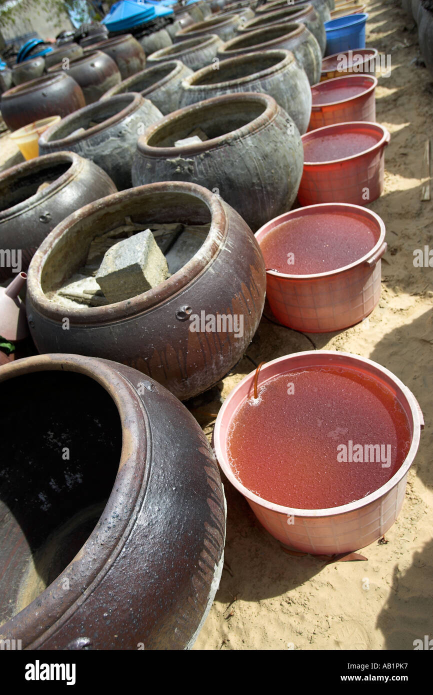 Nuoc Mam fish sauce used widely in Vietnamese cooking is prepared in fermentation vats at local producer near Phan Thiet Stock Photo