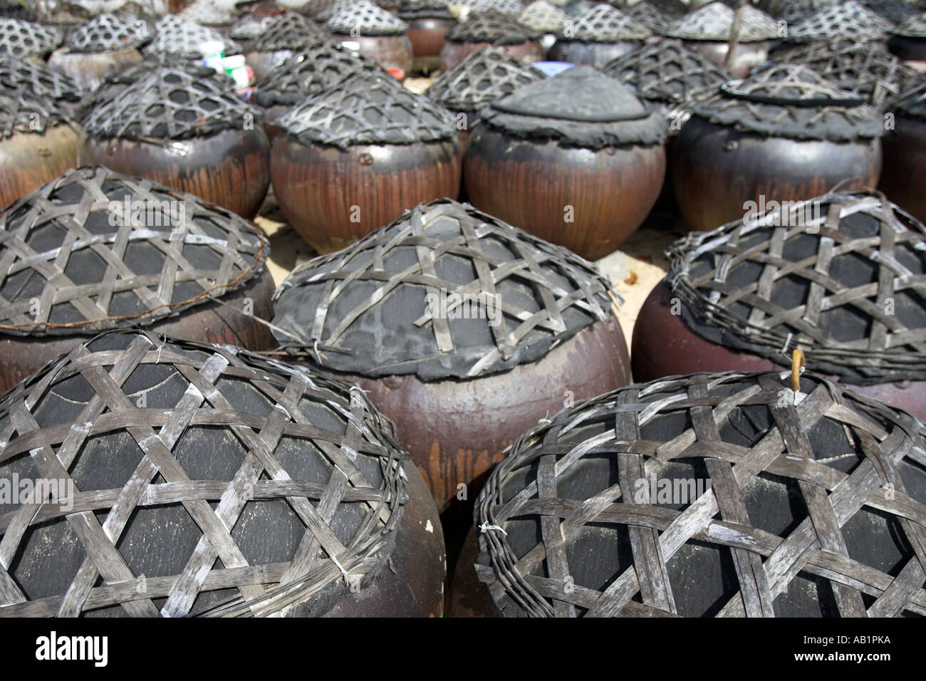 Nuoc Mam fish sauce used widely in Vietnamese cooking is prepared in