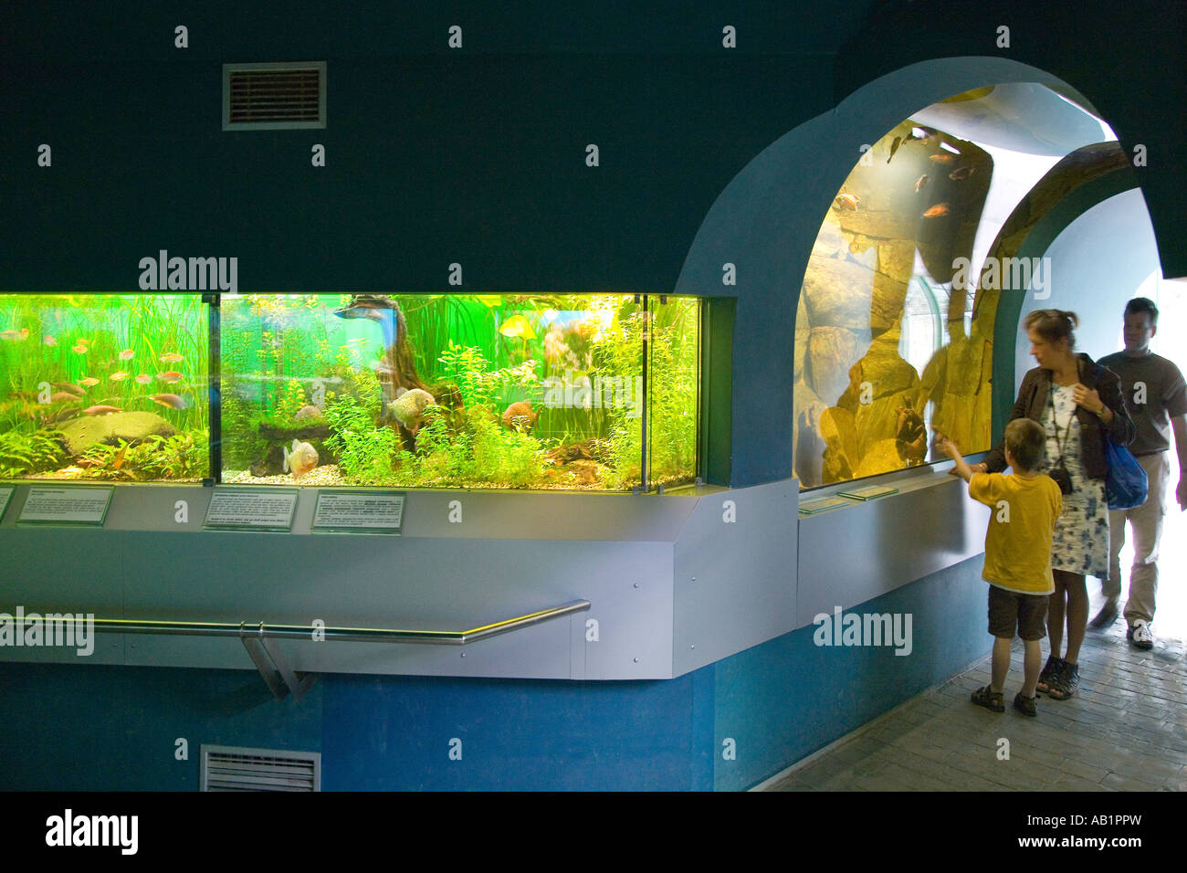 Botanicka zahrada akvarium Lidove sady Liberec Ceska republika Stock Photo  - Alamy