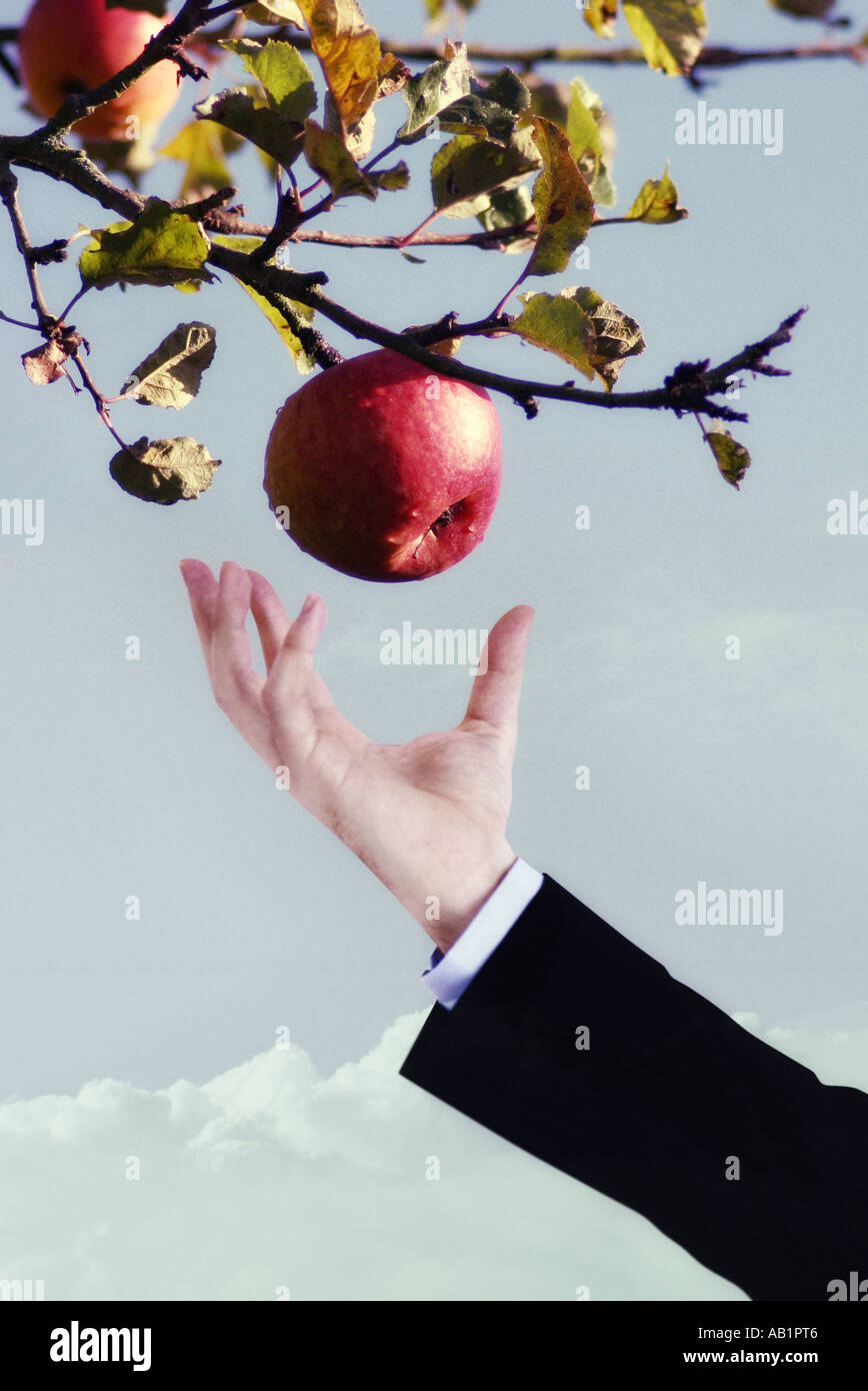 a man in a suit picking an apple Stock Photo