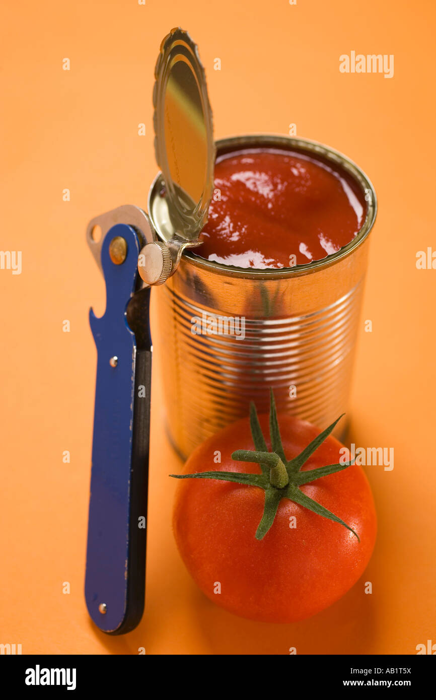 Fresh tomato beside opened food tin FoodCollection Stock Photo Alamy