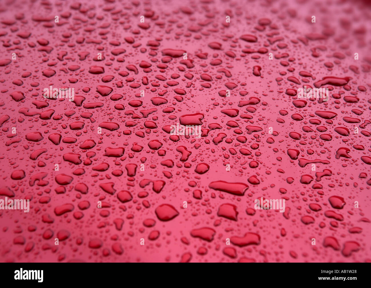 WATER DROPLETS ON RED SURFACE Stock Photo