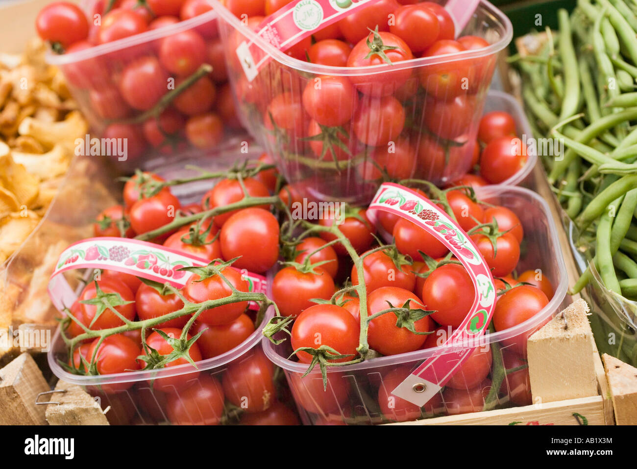 Vine tomatoes in punnets at a market FoodCollection Stock Photo - Alamy