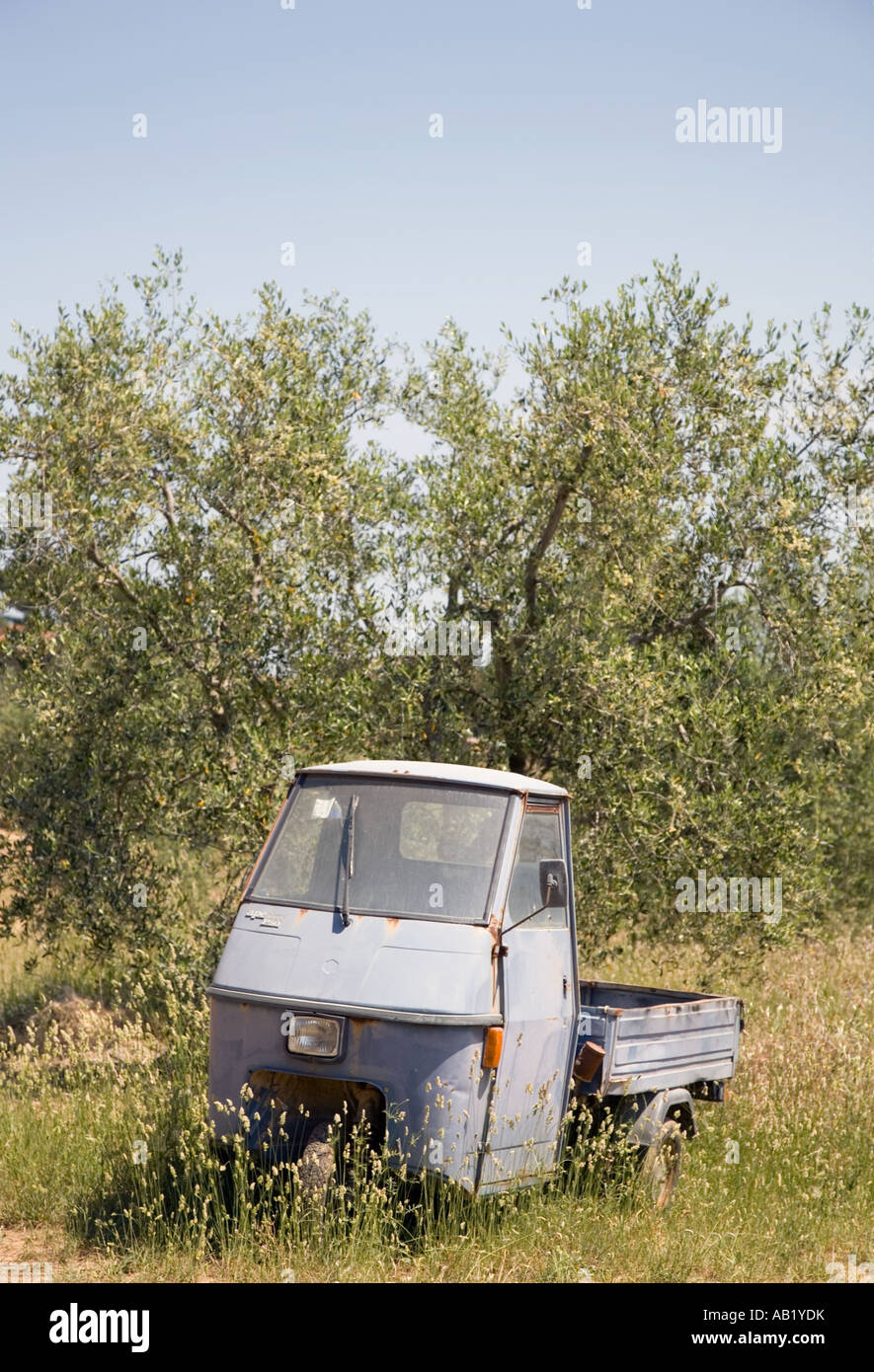 Rusty Italian Piaggio van truck farm vehicle in Olive Grove, San Quirico d' Orcia, Tuscany Italy, Europe, EU Stock Photo