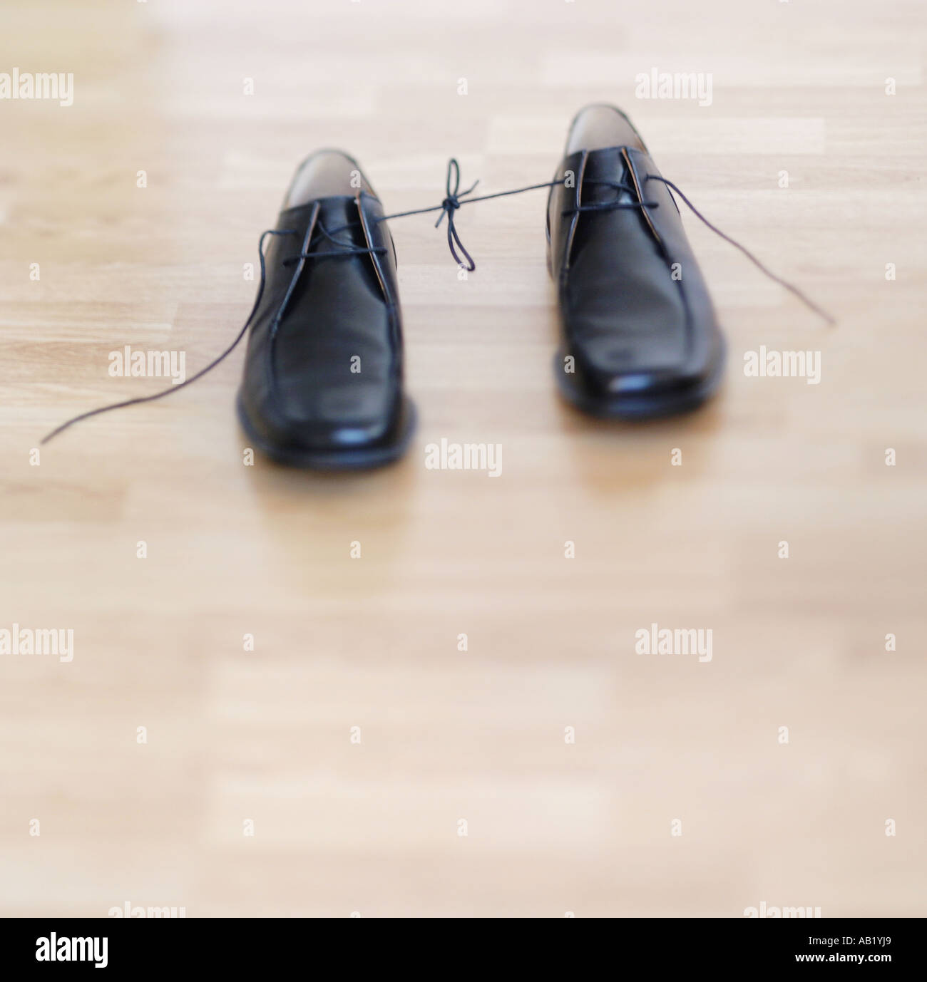 smart black shoes with the laces tied together Stock Photo