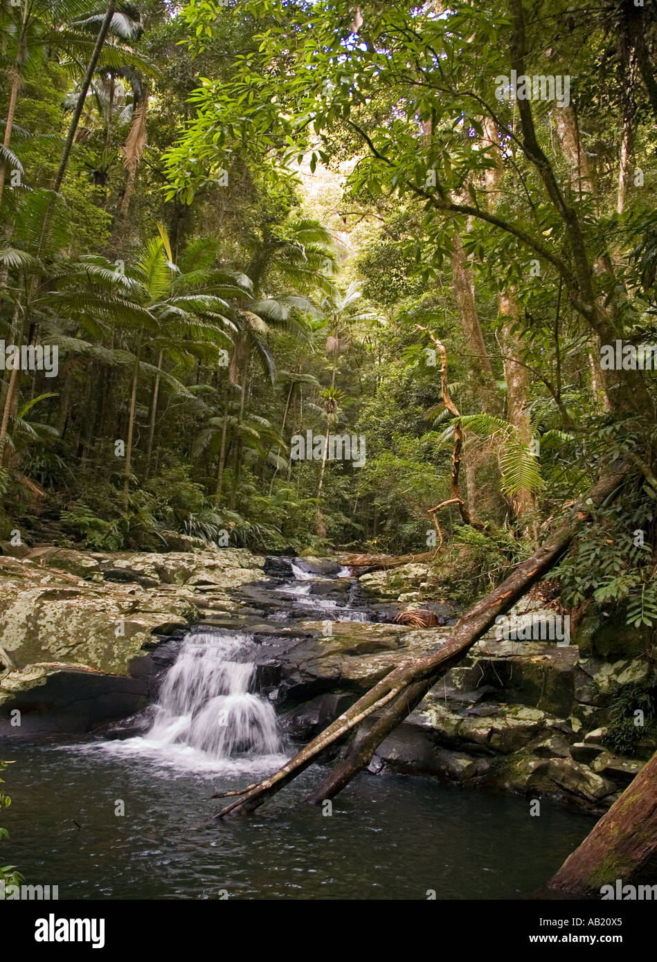Stock photograph of a small waterfall on the Terania Creek, New South Wales, Australia. DSC 9110 Stock Photo