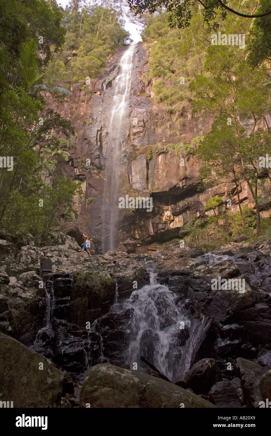 Stock photograph of Protester's Falls, in the Nightcap National Park, northern New South Wales, Australia. DSC 9119 Stock Photo