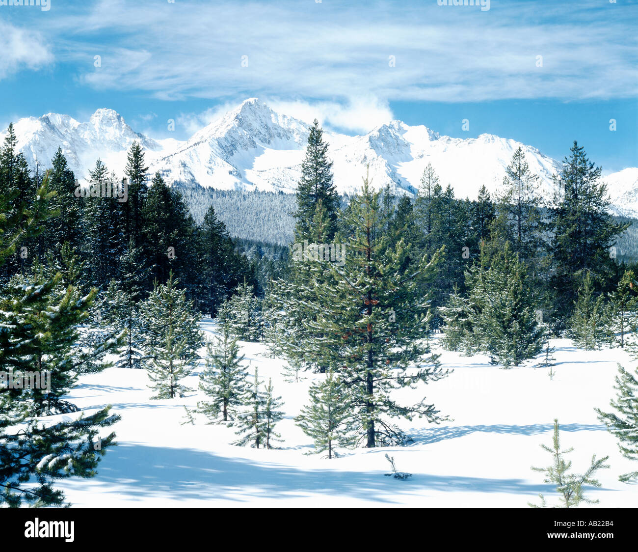 Forest green dress hi-res stock photography and images - Alamy