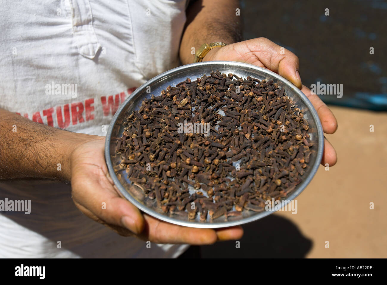 Dried cloves used in for flavouring in cooking confectionery and as