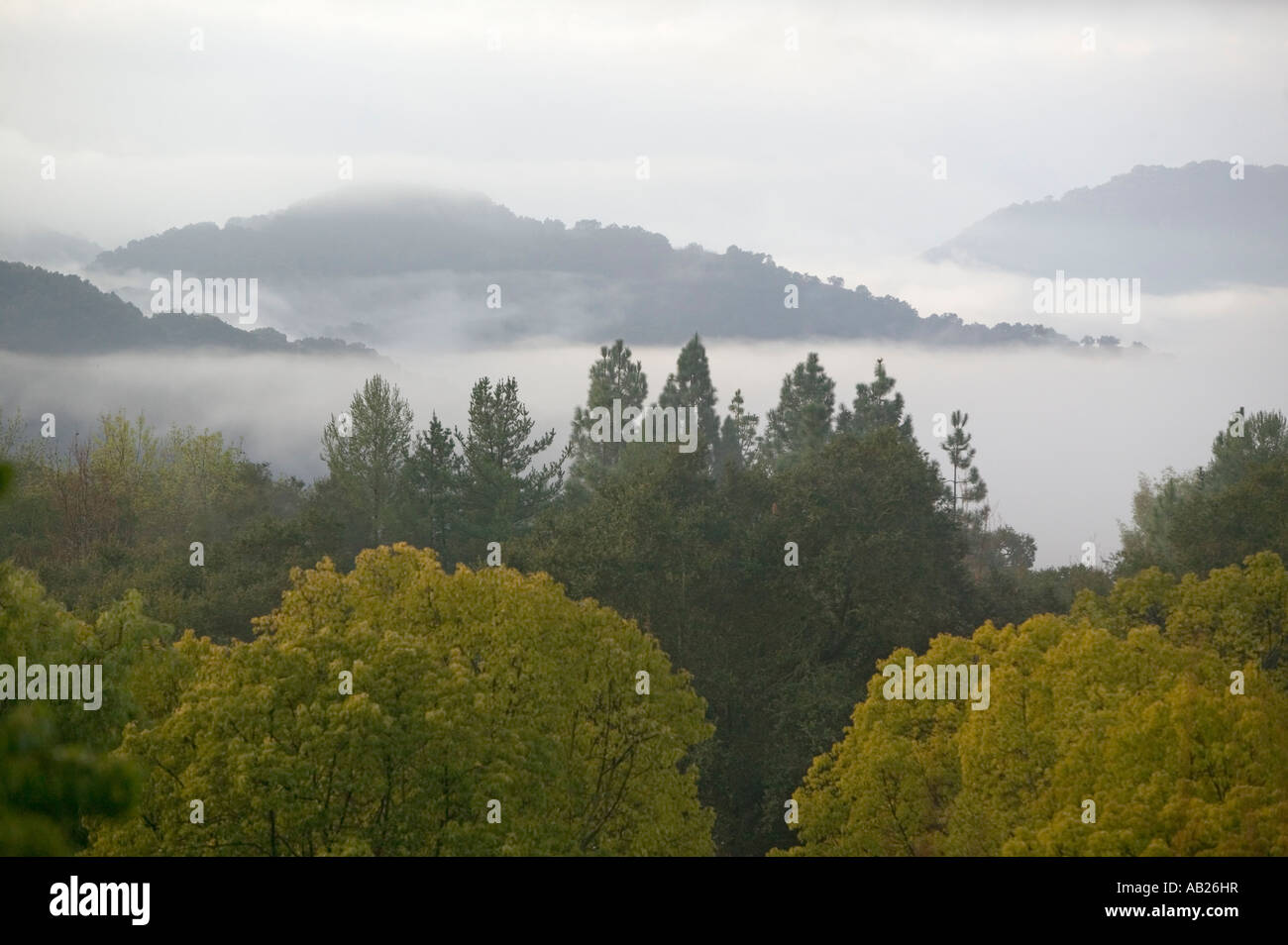 Fog rolling over hills hi-res stock photography and images - Alamy