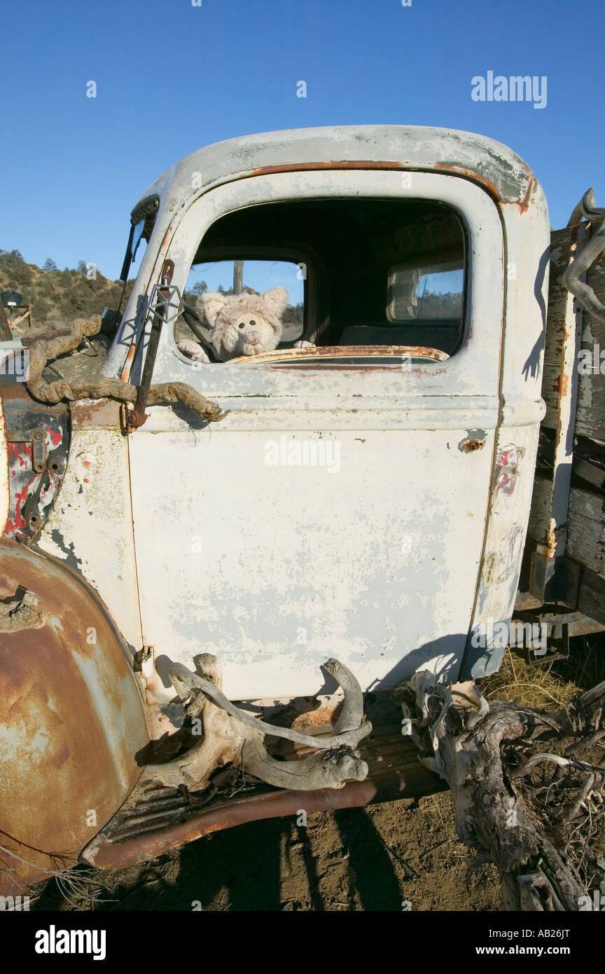 Stuffed animal sits in drivers window of deserted truck in field off