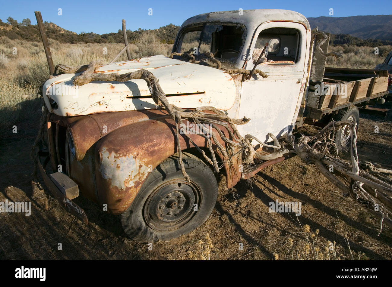 Stuffed animal sits in drivers window of deserted truck in field off