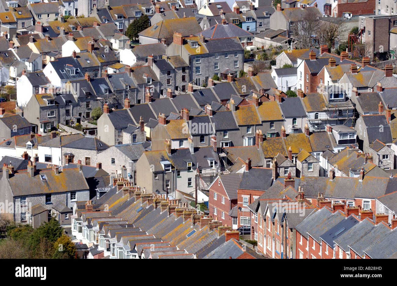 Rooftops of houses at Chiswell, Portland, Dorset, England Stock Photo