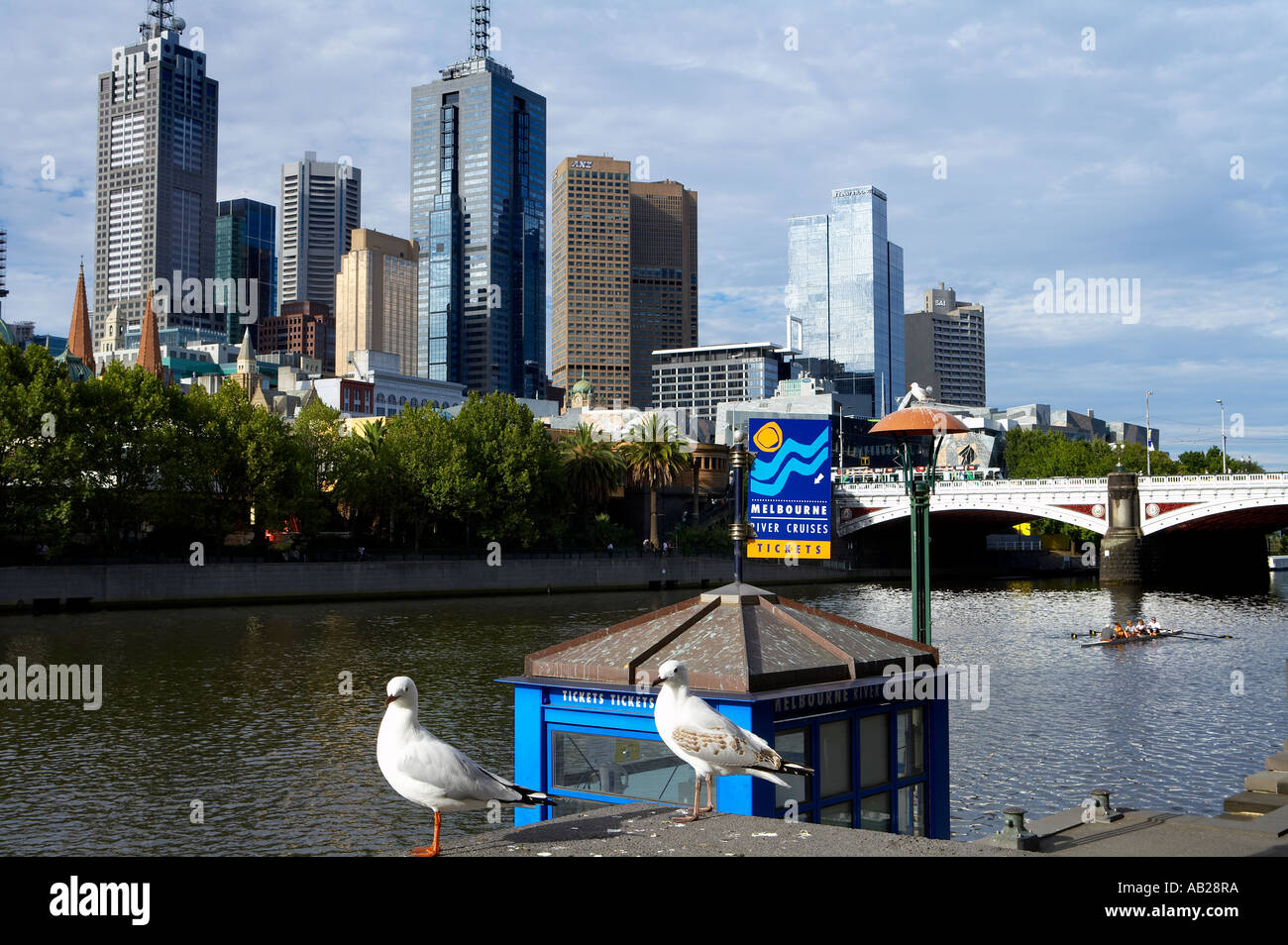 seagulls by the Yarra River Melbourne Victoria Australia Stock Photo