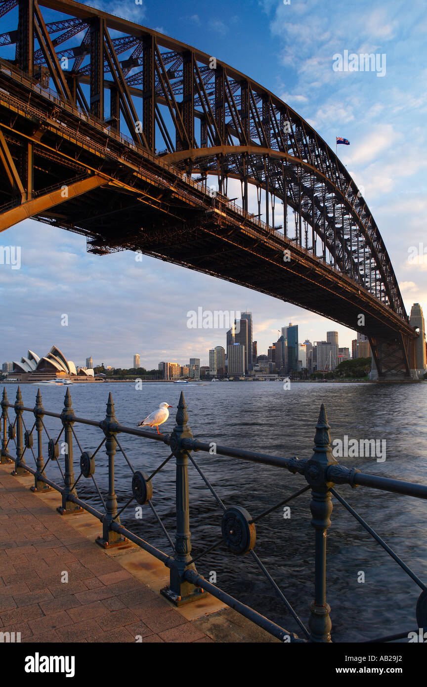 Seagull perched on railings beneath Harbour Bridge Milsons Point with Opera House city centre beyond Sydney Australia Stock Photo