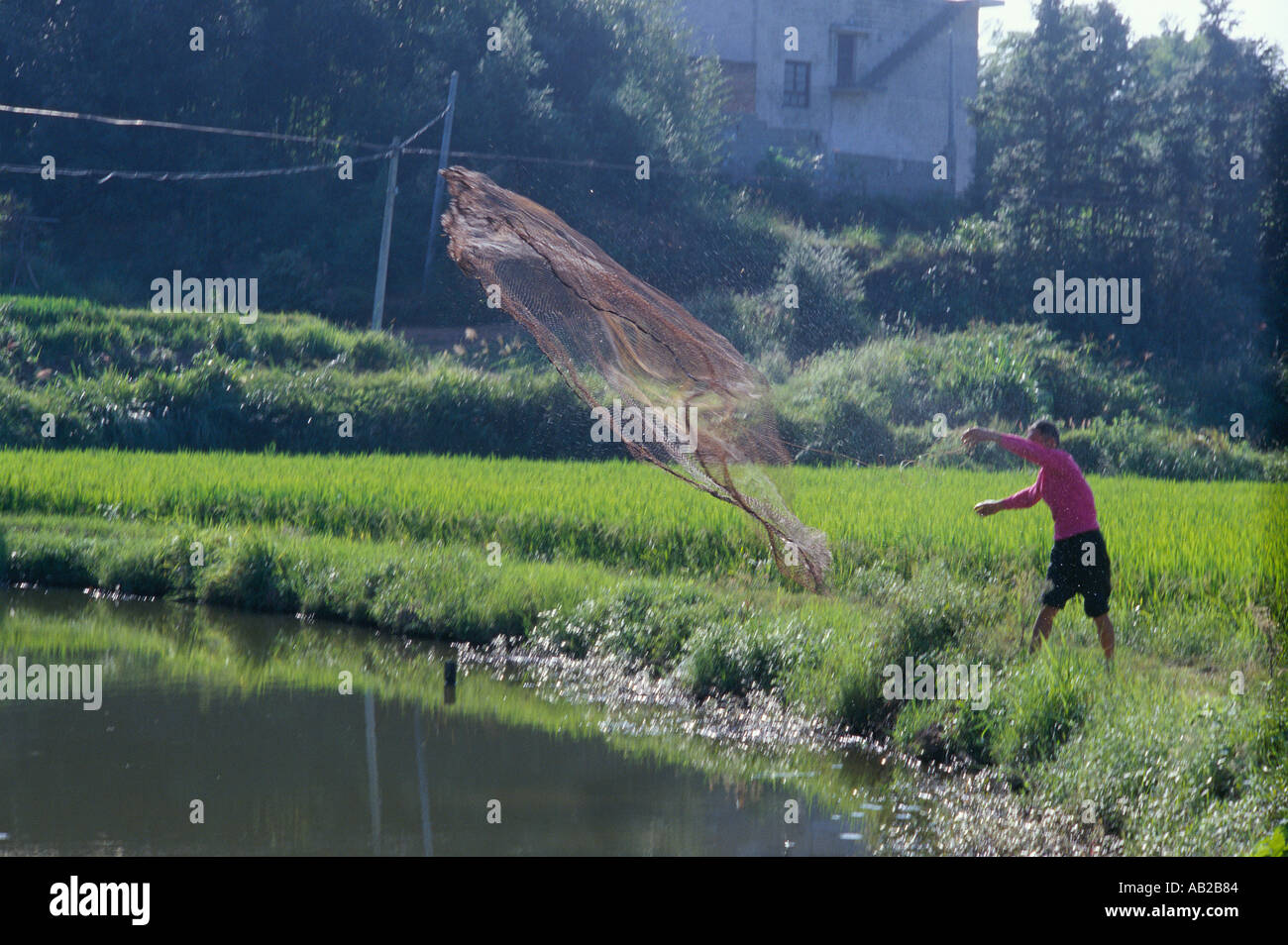 Man casting a fishnet into a pond Xiangtan Hunan China Stock Photo