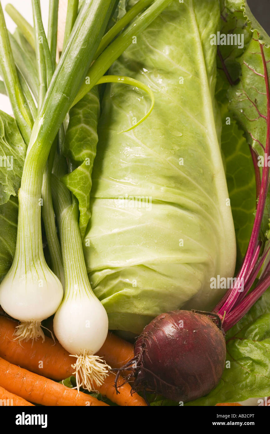 Carrots spring onions beetroot and cabbage detail FoodCollection Stock Photo